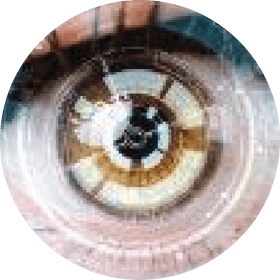 CELL-REGENERATION EFFECT