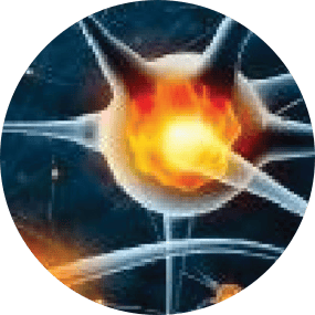 CELL-REGENERATION EFFECT