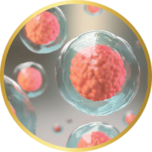 CELL-REGENERATION EFFECT