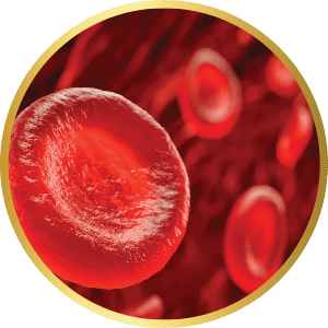 IMPROVE BLOOD CIRCULATION