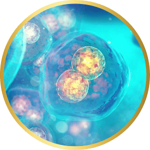 CELL-REGENERATION EFFECT