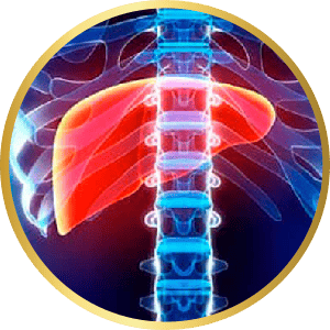 IMPROVE BLOOD CIRCULATION